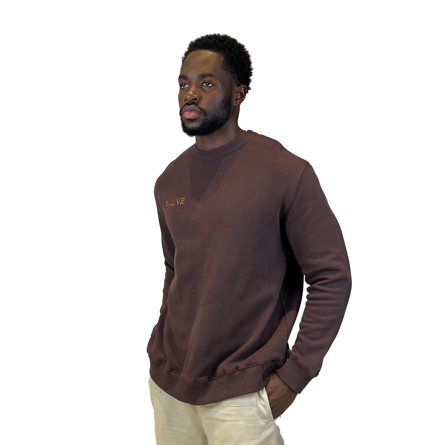 PALVE BROWN SWEATSHIRT